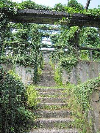 قلعه پترا قلعه پترا