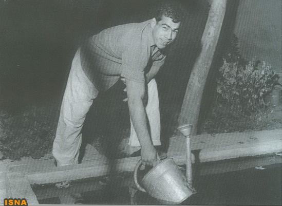 جهان پهلوان تختی جهان پهلوان تختی