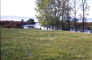 تالاب لپو پلنگان