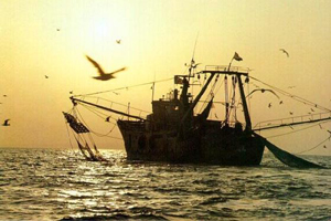 جشن ثبت جهانی دریانوردی خلیج فارس برگزار میشود